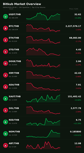 bitkub chart.png