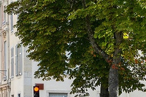 e067b26281fd.jpg
