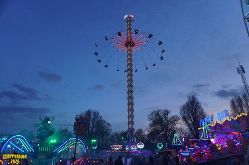 DSC07899 Watermarked.jpg