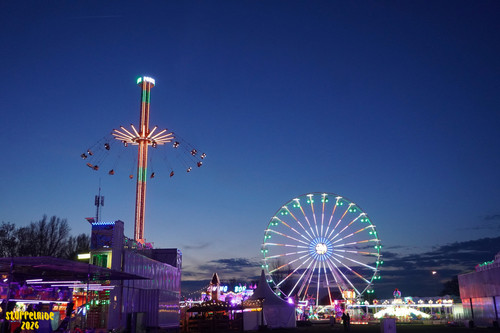 DSC07964 Watermarked.jpg