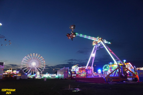 DSC07967 Watermarked.jpg