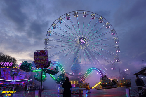 DSC07861 Watermarked.jpg