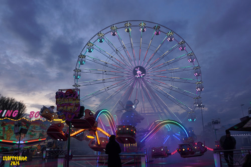 DSC07863 Watermarked.jpg