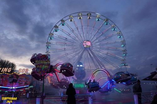 DSC07865 Watermarked.jpg