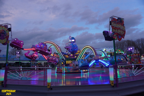 DSC07882 Watermarked.jpg