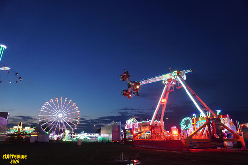 DSC07968 Watermarked.jpg