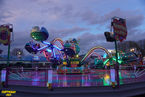 DSC07883 Watermarked.jpg