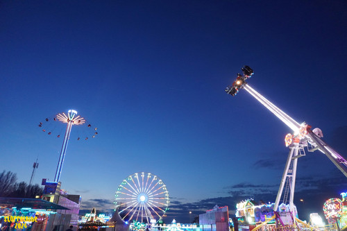 DSC07973 Watermarked.jpg