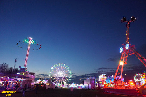 DSC07974 Watermarked.jpg