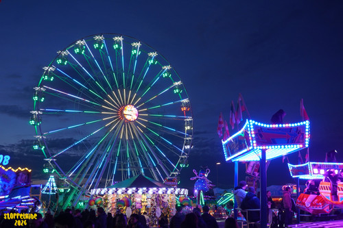 DSC07937 Watermarked.jpg