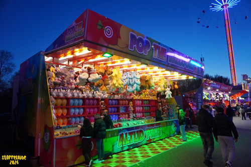 DSC07946 Watermarked.jpg