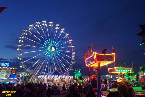 DSC07939 Watermarked.jpg