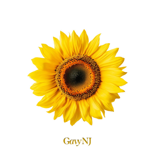 318dbb4f6200.png