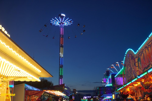 DSC07948 Watermarked.jpg