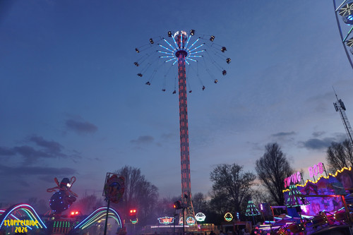 DSC07894 Watermarked.jpg