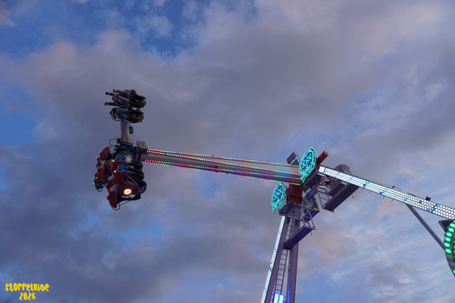 DSC07821 Watermarked.jpg