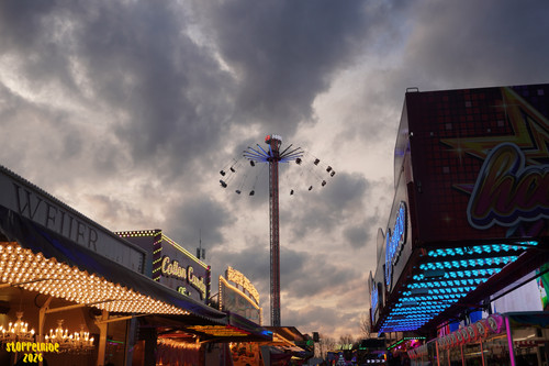 DSC07813 Watermarked.jpg