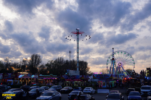 DSC07802 Watermarked.jpg