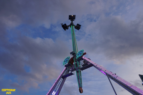 DSC07825 Watermarked.jpg