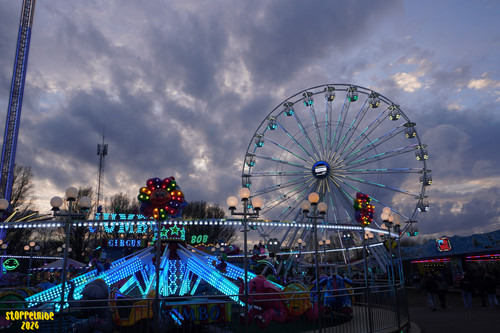 DSC07837 Watermarked.jpg