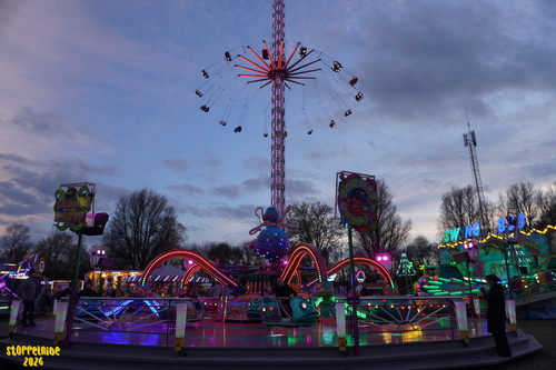 DSC07848 Watermarked.jpg