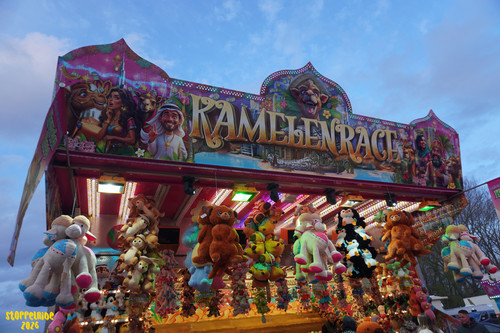 DSC07828 Watermarked.jpg