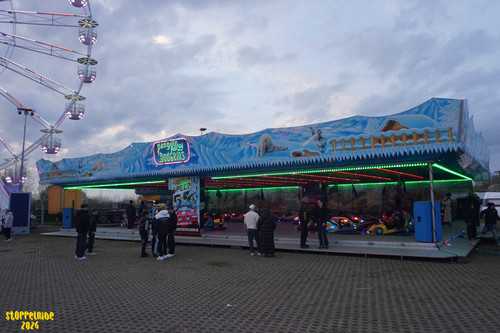 DSC07842 Watermarked.jpg