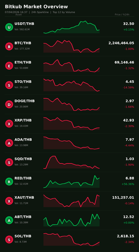 bitkub chart.png