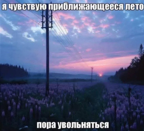 1000567365.jpg