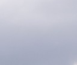 83b19b1e039a.jpg