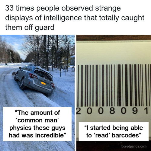strangest displays intelligence.1