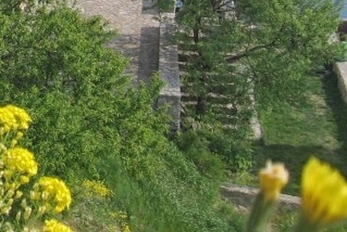 245c43b201d5.jpg