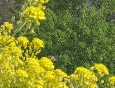 c3b272365dec.jpg