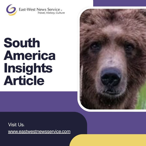 Get Latest South America Insights Article You Must Read.jpg