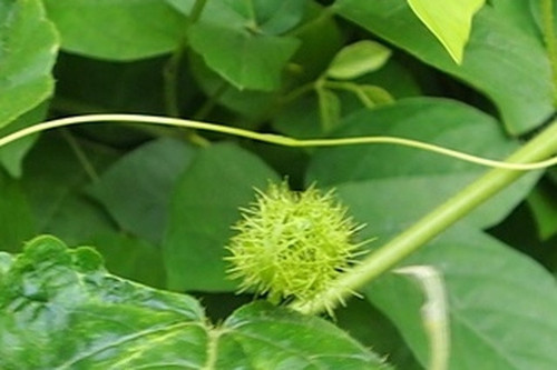 d8ab23f89e72.jpg