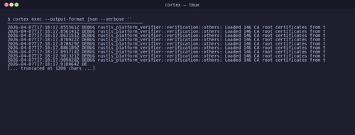 gen 0018 cli 20260407 171415.png