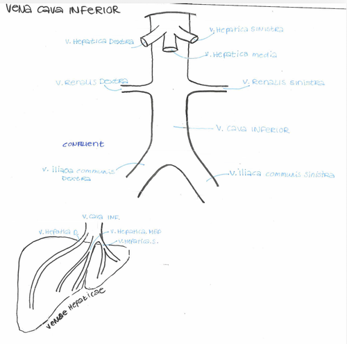 cbaa68f5172d.png