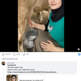 Screenshot 11.png