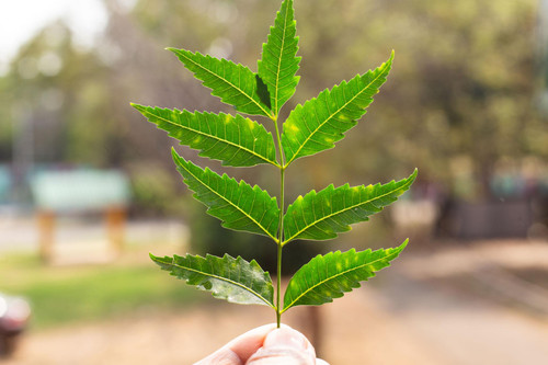  AOb sDZtih3Gz8zudC2F9umiGWqheg9IJwi2RliMwQ1MDXc2vSsRiAt9wUeqexO s A Ex8Qz0UKLDOGqlLp8BpOvE2rfsr6uEl.jpg