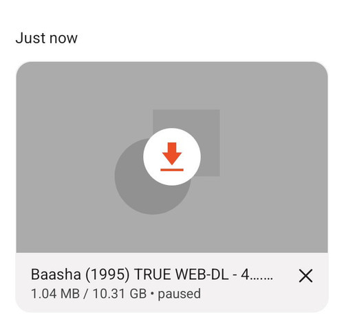 1000025551.jpg