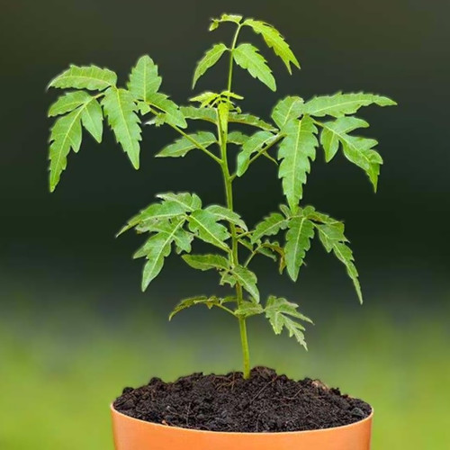 nIyrHuAhpMAXHL9squ9PavKA 0xELT73g1tLAp2e8SmOxO HBX9f2LKmAWnJaqeYeLTtYtwFQqFwb3oWUM83dsN tGAHAtfS8uyH.jpg