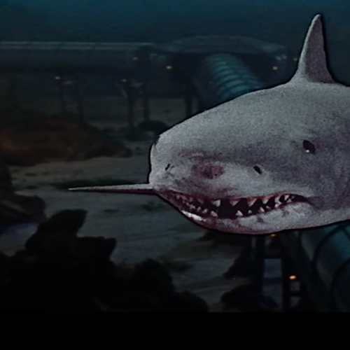 sc2 02.png