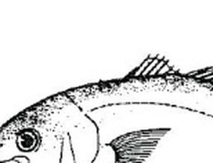 65cb5c86dc9c.jpg