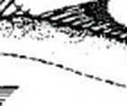 858ccf7a8a52.jpg