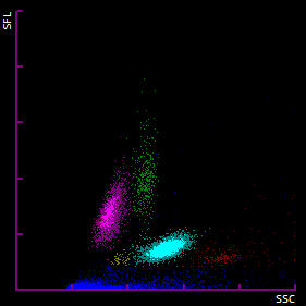 2026 04 07 13 14 BM0970098V8 WDF.2