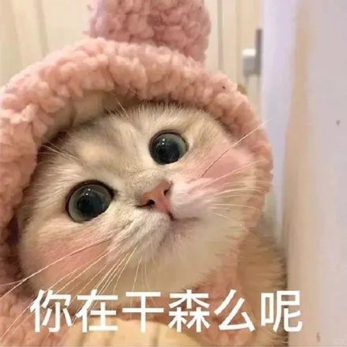  1 �������� ����С������ҳ��.jpg
