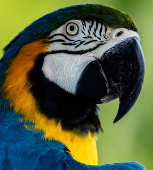 6fdb3d6154aba8ea5a34f29dd91f6377 (1) (1).jpg