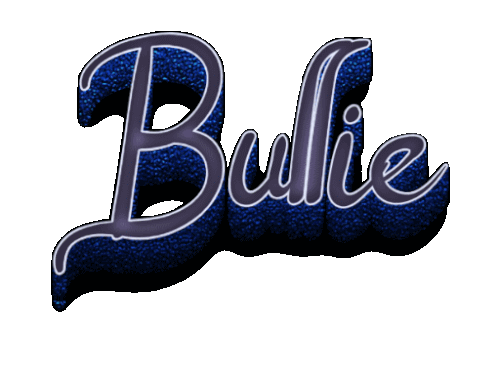 Bullie 4 16 2026.gif