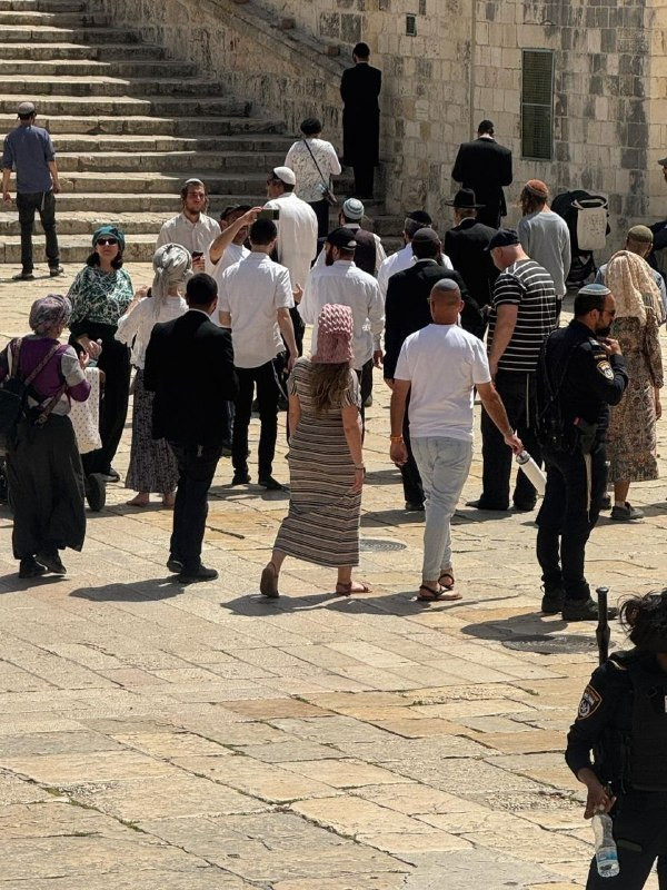 177 مستوطنًا اقتحموا المسجد الأقصى المبارك خلال فترة الاقتحامات الصباحية، بحماية شرطة الاحتلال....