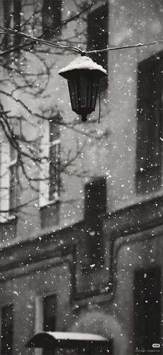 Camera 1040g3k031r6qrvq47u005nv6qbi09ao21086q3o.jpg